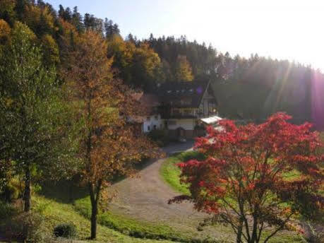 Md Waldhotel Palmspring Bad Peterstal-Griesbach Ngoại thất bức ảnh